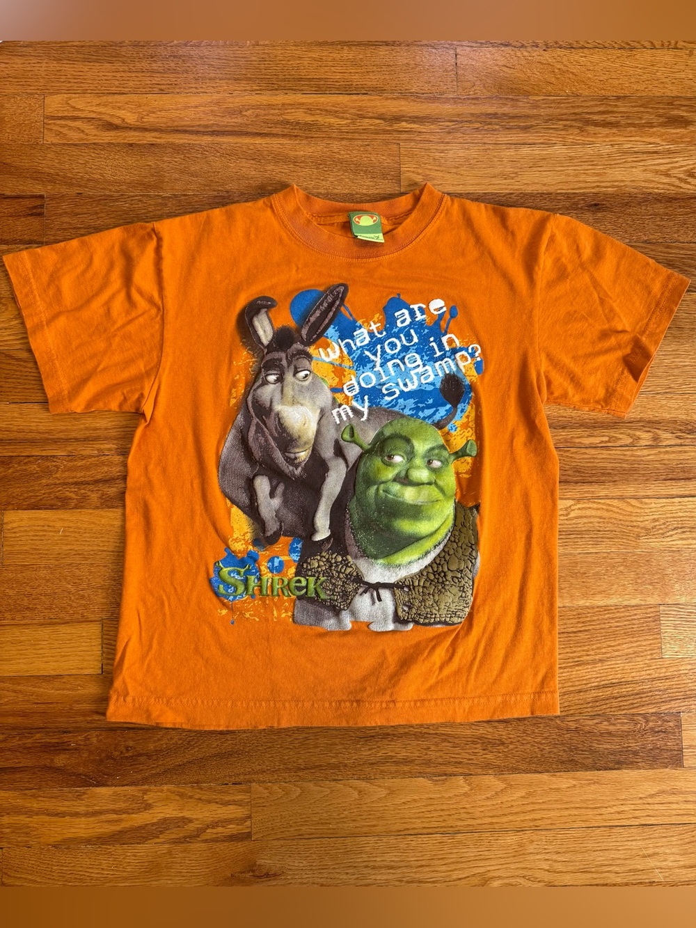 Shrek 2 Vintage T Shirt Youth L/XL 19x23 Movie Promo My Swamp Dreamworks